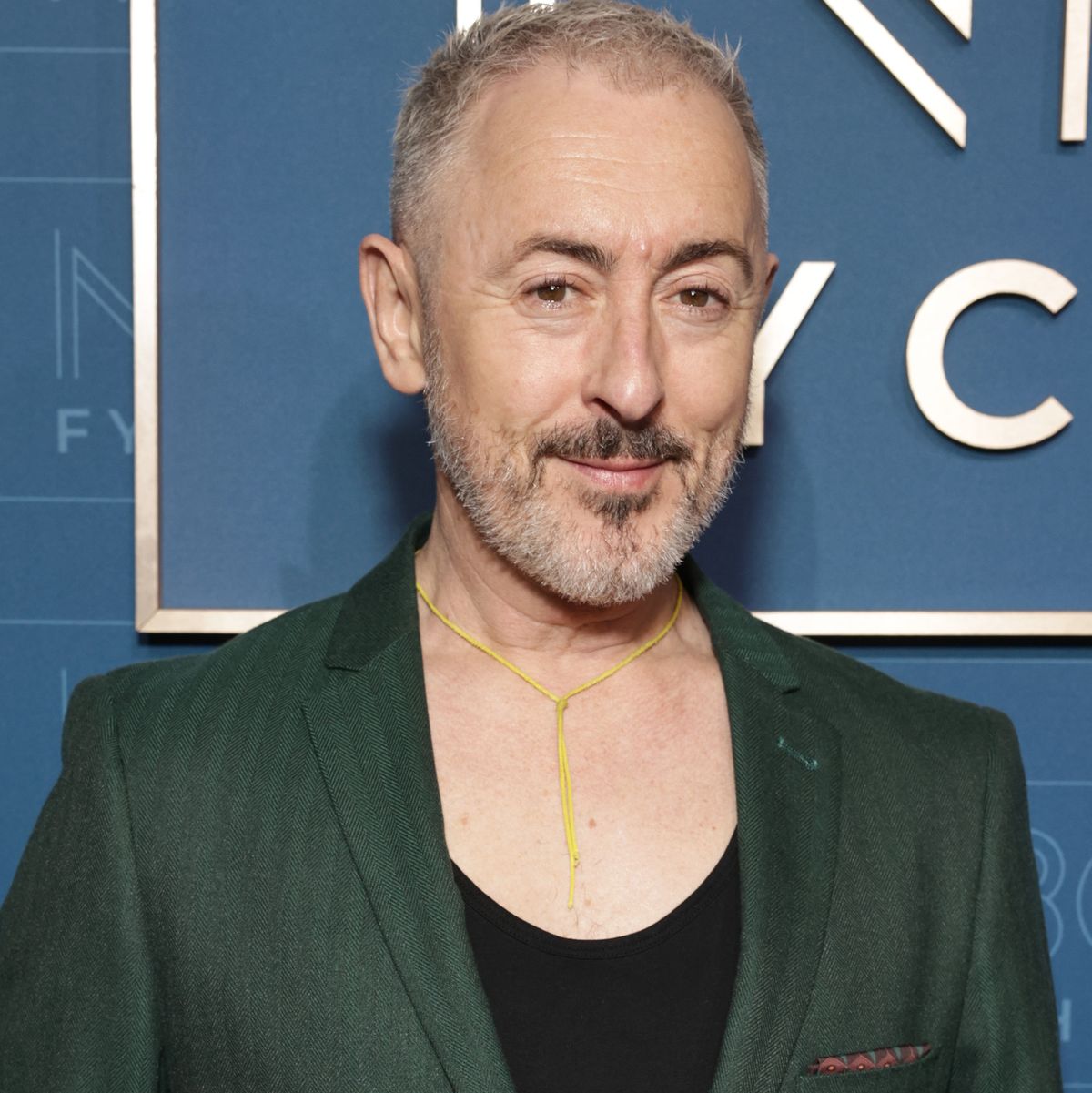 Alan Cummings Net Worth: Exclusive Earnings Unveiled 2024