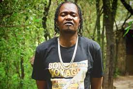 Jua Cali Net Worth